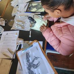 24-clt-girls-in-conservation-2024_original